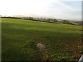 Pasture beside Tawmoor Cross