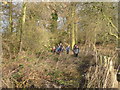 Walkers coming through Kathleen Wood, Piercebridge