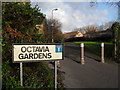 Bollards in Octavia Gardens