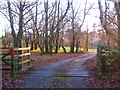 Cattle grid - Roborough Down