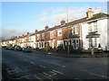 Houses in Chestnut Avenue