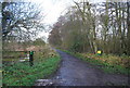 Stour Valley Walk in Stodmarsh Nature Reserve