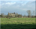 2009 : Pasture and cottages east of Bowerhill