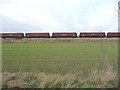 New crop in the field, north-bound wagons on the line