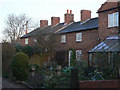 Cottages at the back of Japonica House