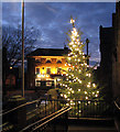 Christmas tree in front of the library in Loddon