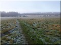 Grassland at Larkhill