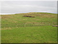 Micklow Hill near Crossbury House