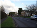 Bus shelter in Oakmount Road