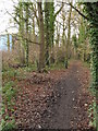 Following the pedestrian path from Fryern Hill to Eastleigh town centre (5)