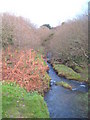 Stream at Cusgarne