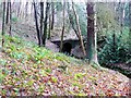 Substantial culvert near Mauldslie Mains