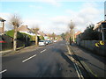 Early winter in Beechwood Avenue