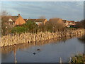 Grantham Canal at Gamston