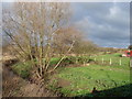 View from Cockabourne Bridge