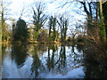 The eastern end of Haughton Pool