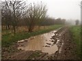 Bridleway approaching Stapleford