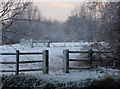 Small fields across the Gipping