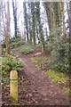 Green Trail to the Test Range, Oare Gunpowder Works