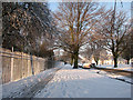 Davy Road in the snow