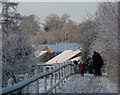 Snow in Needham Market