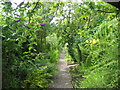 Garden at Crook Hall