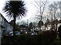 Whitegate Gardens - view towards Wynchgate