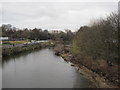 River Wear from Penny Ferry Footbridge, Durham City