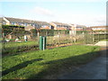 Allotments at the end of Addison Road