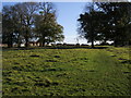 Footpath heading to Fairford Leys