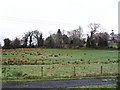 Ardess Glebe Townland