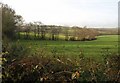 Field boundary near Nethercott