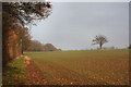 Footpath to Brettenham