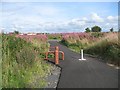 National Cycle Network route 7