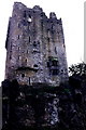 W6075 : Blarney Castle - View to southeast by Joseph Mischyshyn