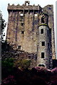 W6075 : Blarney Castle and adjacent east  tower by Joseph Mischyshyn
