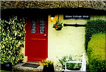 R4646 : Adare Cottage Shop by Joseph Mischyshyn