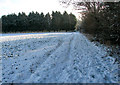 Public bridleway to The Street in Ketteringham