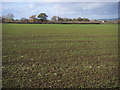 Field by Cranwell Farm