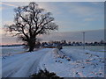 Road near the farm buildings