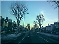 TQ4990 : Trees with windswept snow on Mawney Road #1 by Robert Lamb