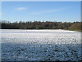 A snowy football pitch at the Chandler Junior School