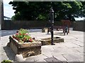 SK2796 : Village Pump, Water Trough, Flowers and Seat, Bolsterstone by Terry Robinson