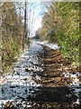 Footpath from Church Lane to Mare Hill (6)