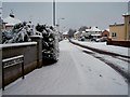 Snow at Rodgers Villas, Omagh