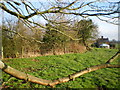 Pond and cottage at Kemberton