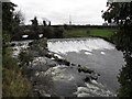 The weir at the Disused Ewart Liddell Weaving Factory, Donaghcloney.