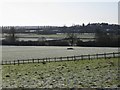 Fields south of Radford Barn