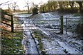 Gates on a bridleway