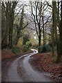 Lane to Alcombe